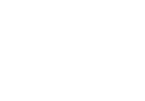 piql logo